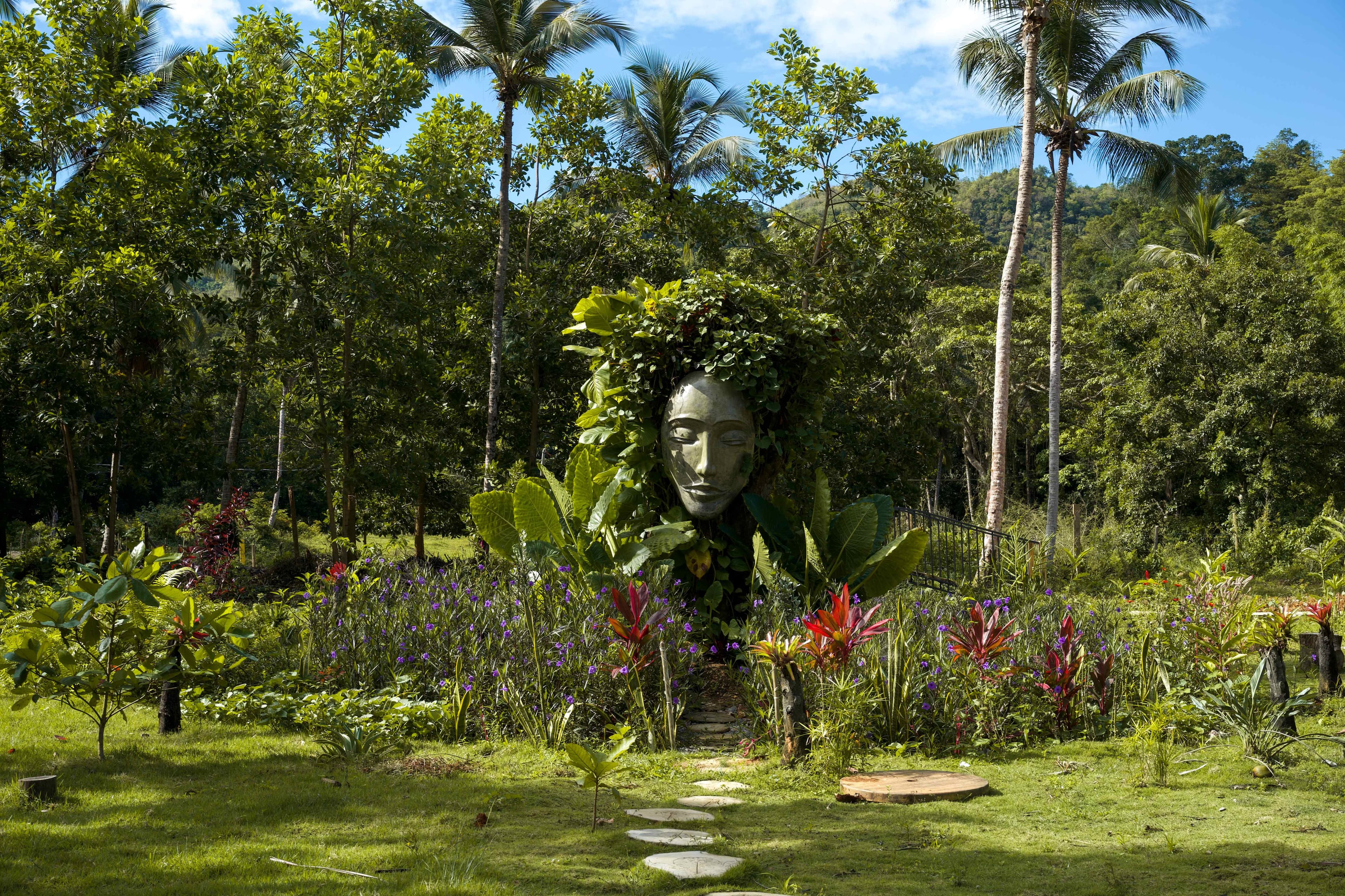 The botanical food forest at the center of Leisy's Garden